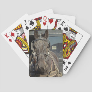 Jeu De Cartes Amish Buggy Horse