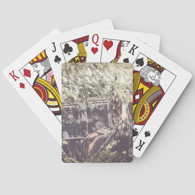 Jeu De Cartes amish Waiting Horse (dos)