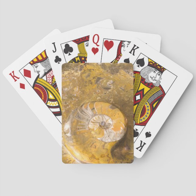 Jeu De Cartes Ammonite Fossil in Rock Nature Photographie (dos)