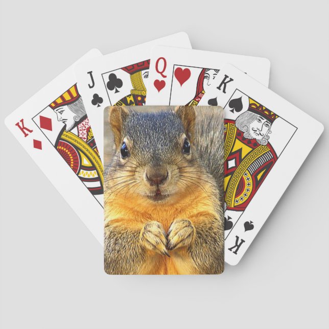 Jeu De Cartes Amour des écureuils_ (dos)