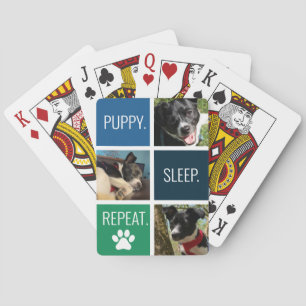 Jeu De Cartes Amoureux des animaux photo de animal de compagnie 