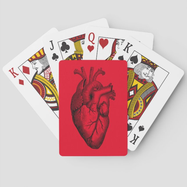 Jeu De Cartes Anatomie cardiaque Science Arrière - plan rouge (dos)