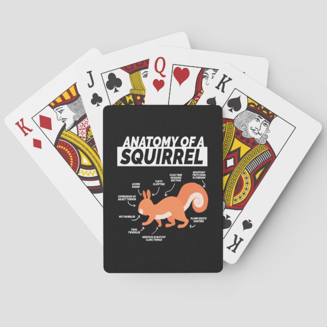Jeu De Cartes Anatomie D'Un Écureuil (dos)