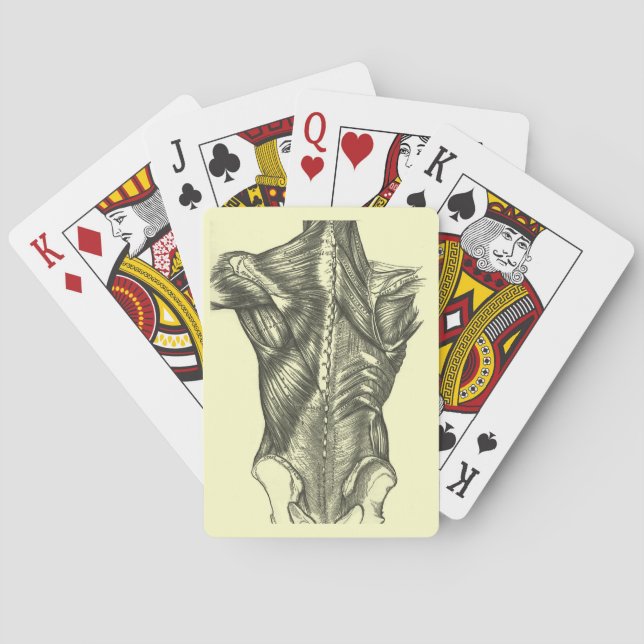 Jeu De Cartes Anatomie vintage (dos)
