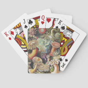 Jeu De Cartes Anémones de mer, Actiniae Seeanemonen Ernst Haecke