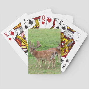 Jeu De Cartes animal, cerf, faune, forêt, prairie, chasse, n