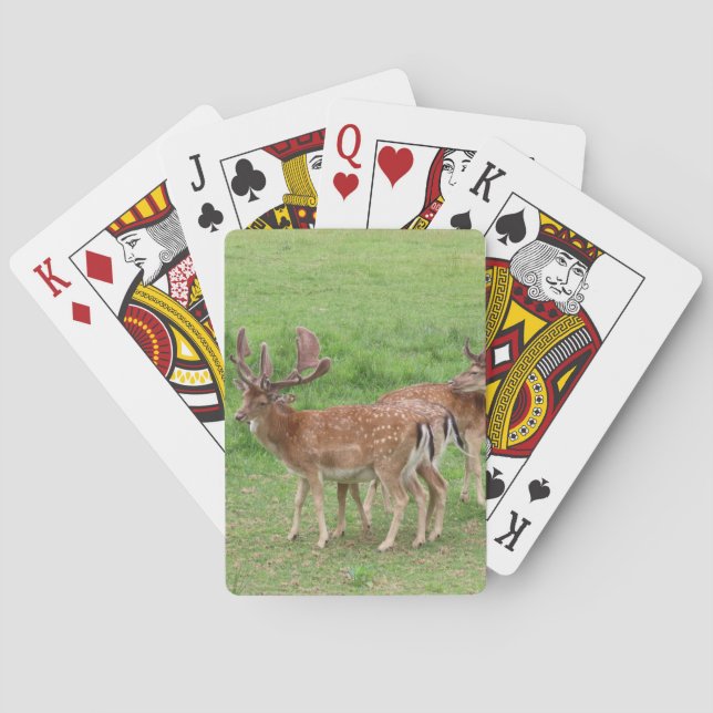 Jeu De Cartes animal, cerf, faune, forêt, prairie, chasse, n (dos)