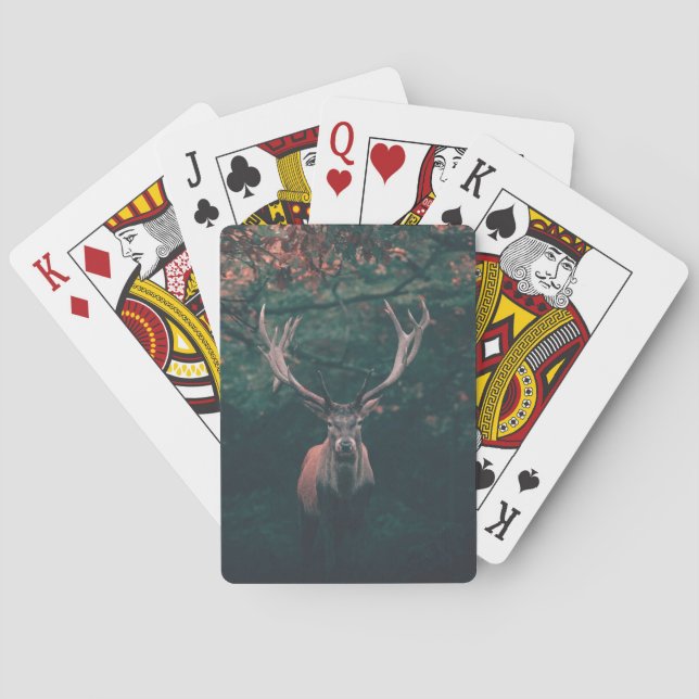Jeu De Cartes Animal sauvage de Buck Deer (dos)
