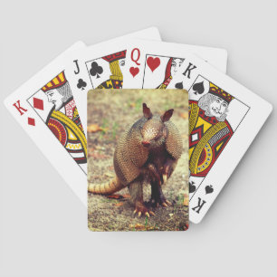Jeu De Cartes Animal sauvage de tatou