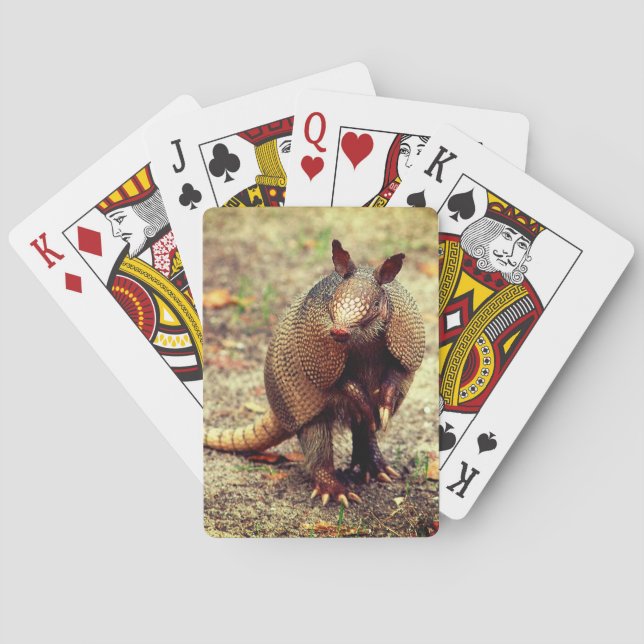 Jeu De Cartes Animal sauvage de tatou (dos)