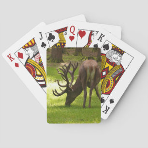Jeu De Cartes animal sauvage wapiti vélo jouer aux cartes
