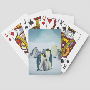 Jeu De Cartes Animaux de bébés cutest Alimentation de pingouin