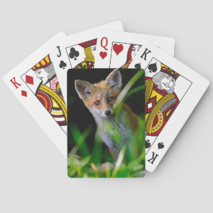 Jeu De Cartes Animaux de bébés cutest Baby Red Fox