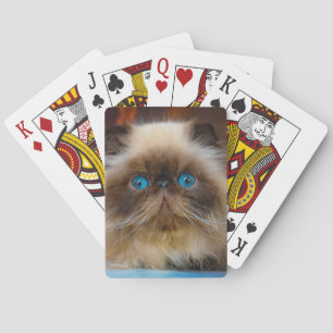 Jeu De Cartes Animaux de bébés cutest   Chat himalayen