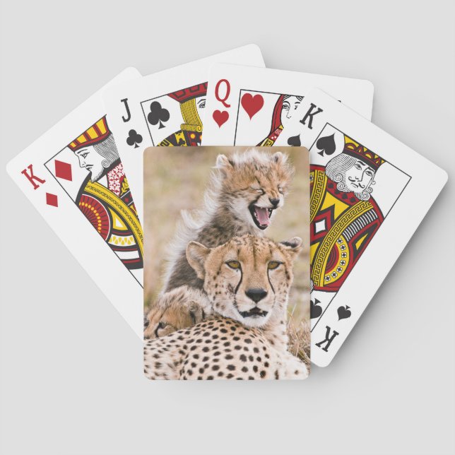 Jeu De Cartes Animaux de bébés cutest | Cheetah Cat & Cub (dos)