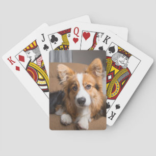 Jeu De Cartes Animaux de bébés cutest   Coiffeuse à cheveux long