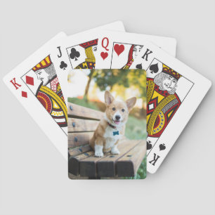 Jeu De Cartes Animaux de bébés cutest Corgi Puppy sur un banc