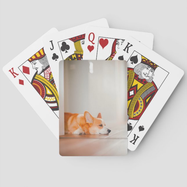 Jeu De Cartes Animaux de bébés cutest | Corgi Sleeping (dos)