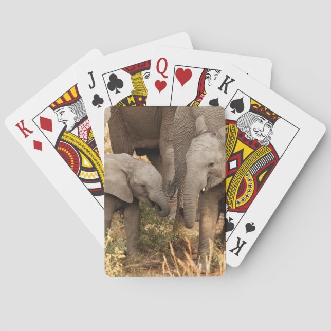 Jeu De Cartes Animaux de bébés cutest | Deux jeunes éléphants (dos)