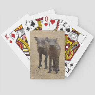 Jeu De Cartes Animaux de bébés cutest Deux jeunes phacochères