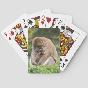 Jeu De Cartes Animaux de bébés cutest   Famille Barbary Macaque