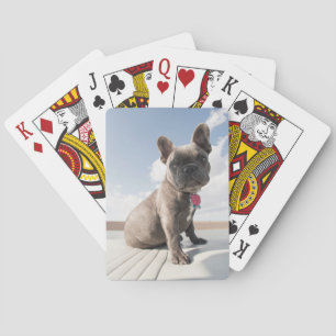 Jeu De Cartes Animaux de bébés cutest French Bulldog Booking