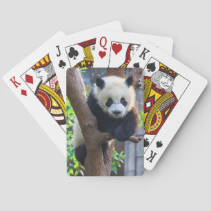 Jeu De Cartes Animaux de bébés cutest   Géant Panda Cub