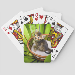 Jeu De Cartes Animaux de bébés cutest   Kitten dans le panier