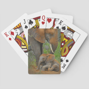 Jeu De Cartes Animaux de bébés cutest   Mama Elephant & Baby