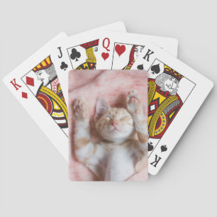 Jeu De Cartes Animaux de bébés cutest Minuscule chaton rayé or