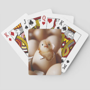 Jeu De Cartes Animaux de bébés cutest   Nouveau bébé poussin