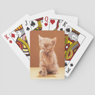 Jeu De Cartes Animaux de bébés cutest   Orange Tabby Kitten