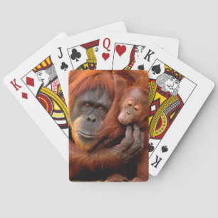 Jeu De Cartes Animaux de bébés cutest   Orangutan Maman & Baby