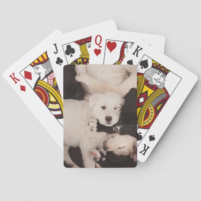 Jeu De Cartes Animaux de bébés cutest | Pile de marionnettes (dos)