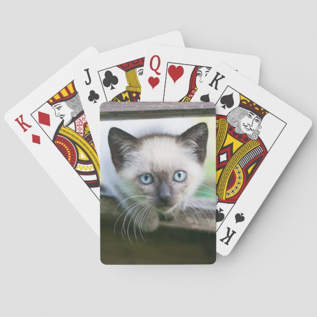 Jeu De Cartes Animaux de bébés cutest | Siamese Kitten 2 (dos)