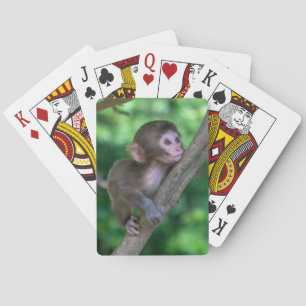 Jeu De Cartes Animaux de bébés cutest Singe bébé