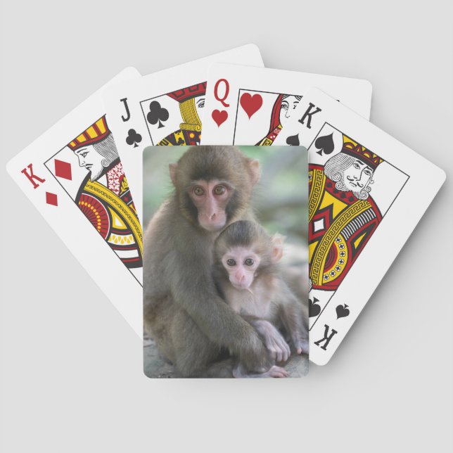 Jeu De Cartes Animaux de bébés cutest | Singes japonais (dos)