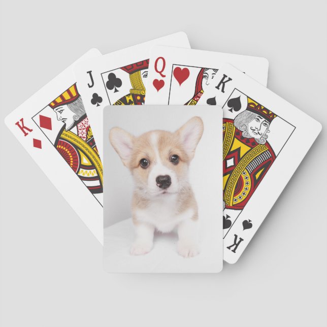 Jeu De Cartes Animaux de bébés cutest | Tiny Corgi (dos)