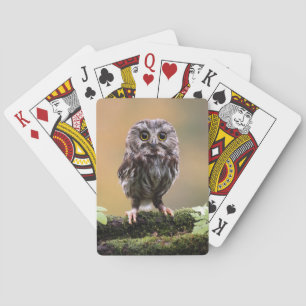 Jeu De Cartes Animaux de bébés cutest Un hibou-bébé