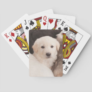 Jeu De Cartes Animaux de bébés cutest Un mignon seau de chiots