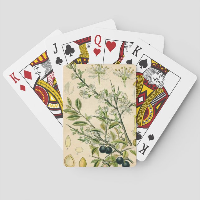 Jeu De Cartes Antique Blackthorn Botanique Imprimé Fleur Berry (dos)