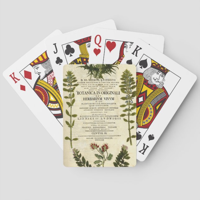 Jeu De Cartes Antique Boite Boite (dos)