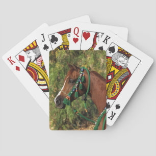 Jeu De Cartes Arab Horse Headshot