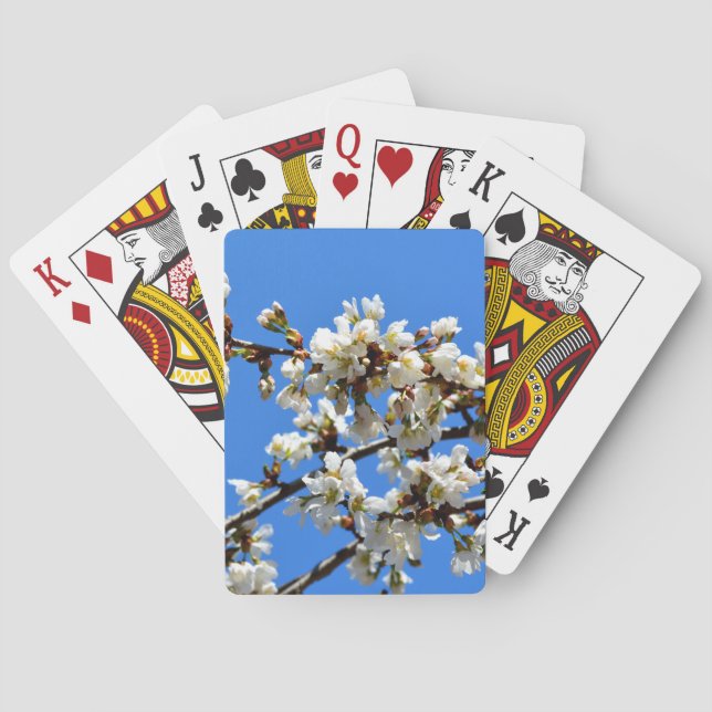 Jeu De Cartes Arbre de printemps blanc fleuri blanc (dos)