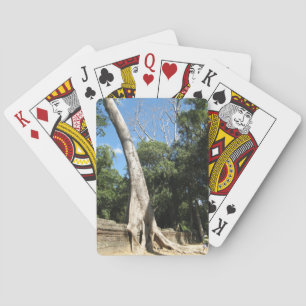 Jeu De Cartes Arbre géant Banyan ... Temple de Ta Prohm, Cambodg