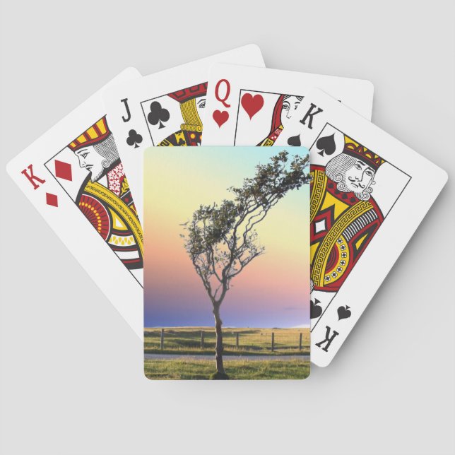 JEU DE CARTES ARBRE LONE (dos)