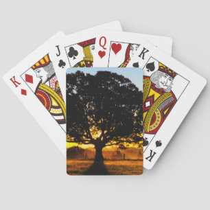 Jeu De Cartes Arbre pendant le matin
