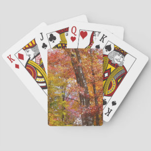 Jeu De Cartes Arbres automnes oranges et jaunes Photographie d'a