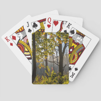 Jeu De Cartes Arbres dans les cartes de jeu de brouillard
