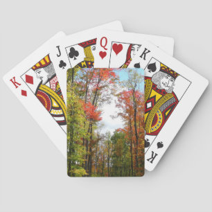 Jeu De Cartes Arbres d'automne et ciel bleu Photographie de la n